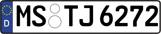 MS-TJ6272