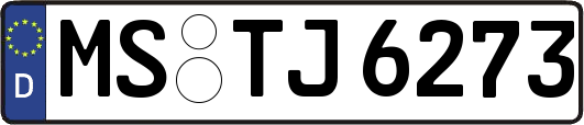 MS-TJ6273
