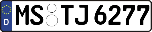 MS-TJ6277
