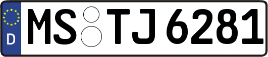 MS-TJ6281