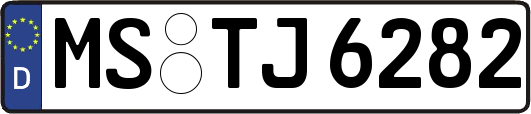 MS-TJ6282