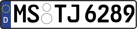 MS-TJ6289