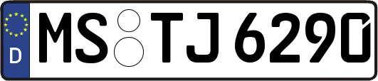 MS-TJ6290