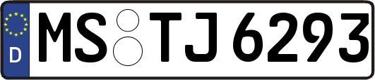 MS-TJ6293