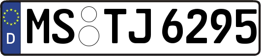 MS-TJ6295