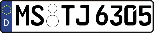 MS-TJ6305