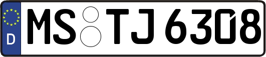 MS-TJ6308