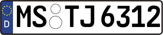 MS-TJ6312