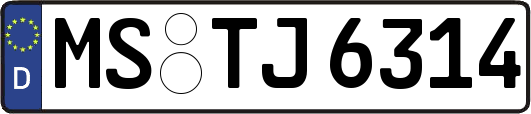 MS-TJ6314