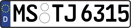 MS-TJ6315
