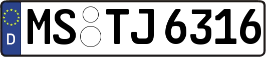 MS-TJ6316