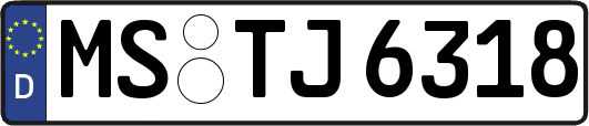 MS-TJ6318