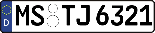 MS-TJ6321