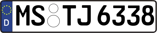 MS-TJ6338