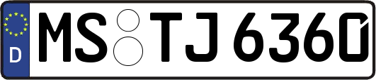 MS-TJ6360