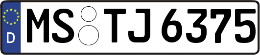 MS-TJ6375