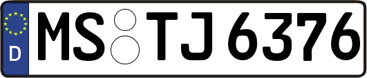 MS-TJ6376