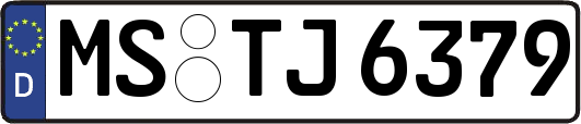 MS-TJ6379