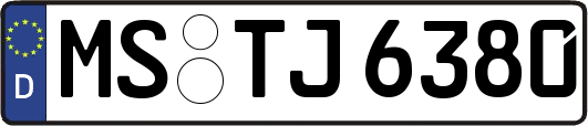 MS-TJ6380