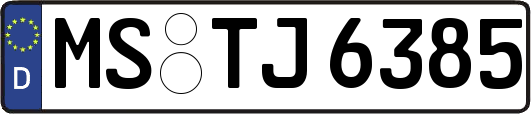 MS-TJ6385