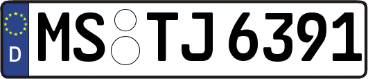 MS-TJ6391
