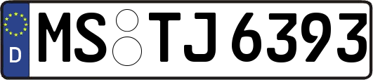 MS-TJ6393