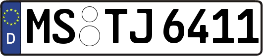 MS-TJ6411