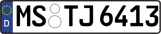 MS-TJ6413