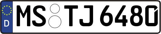 MS-TJ6480