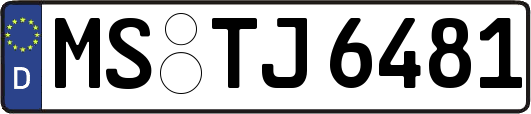 MS-TJ6481