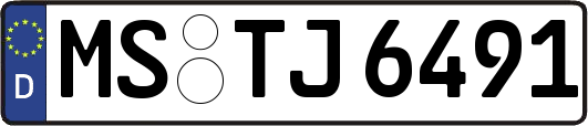 MS-TJ6491