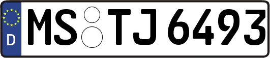 MS-TJ6493