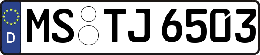 MS-TJ6503