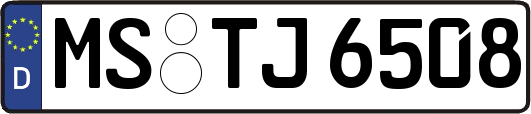 MS-TJ6508