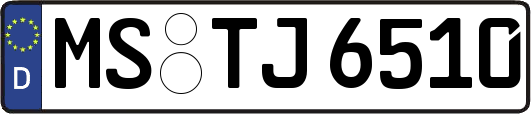 MS-TJ6510