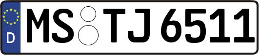 MS-TJ6511