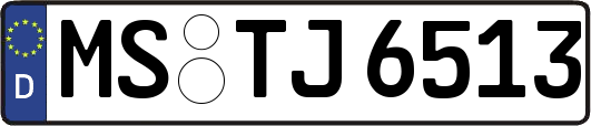 MS-TJ6513