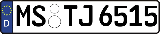 MS-TJ6515