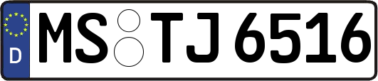 MS-TJ6516