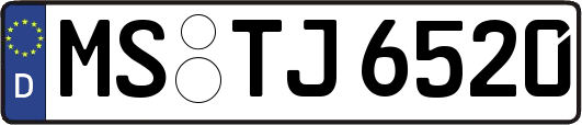 MS-TJ6520