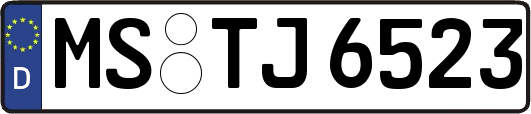 MS-TJ6523