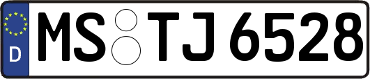 MS-TJ6528