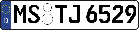 MS-TJ6529
