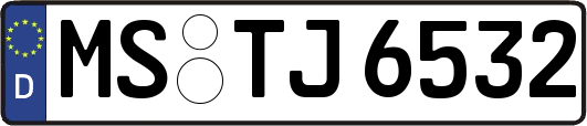 MS-TJ6532
