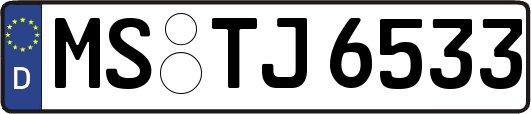 MS-TJ6533