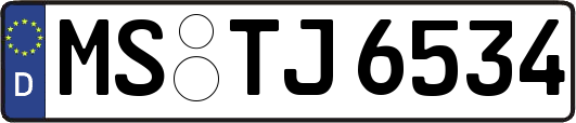 MS-TJ6534
