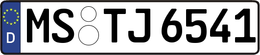 MS-TJ6541