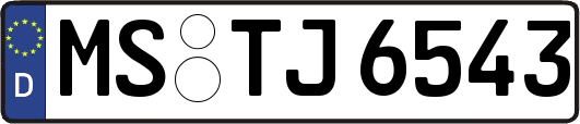 MS-TJ6543