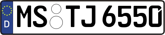 MS-TJ6550
