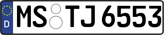 MS-TJ6553